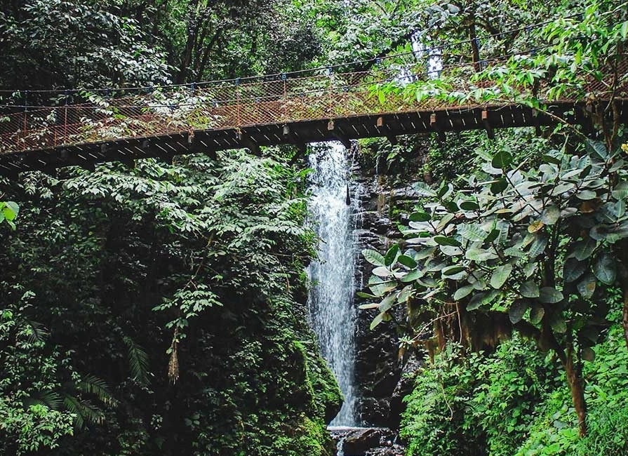 La majestuosa Cascada El León en Villa Rica, un paraíso natural de aguas cristalinas y exuberante vegetación. ¡Explora su belleza hoy!